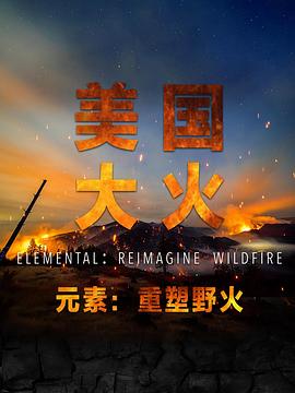 美国大火