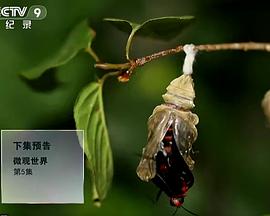 微观世界